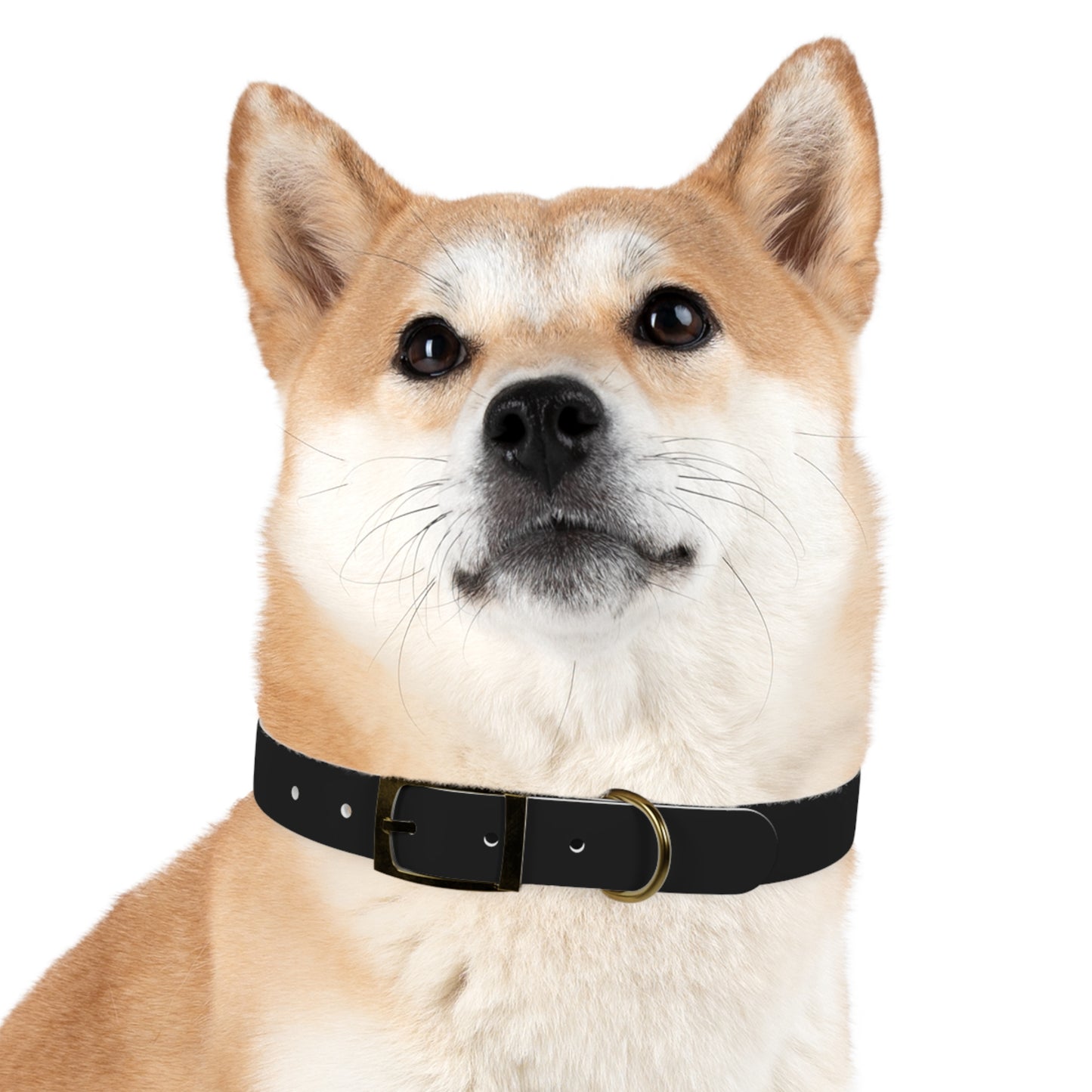 OG Pet Collar