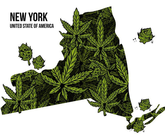 NY is opening cannabis business license!!